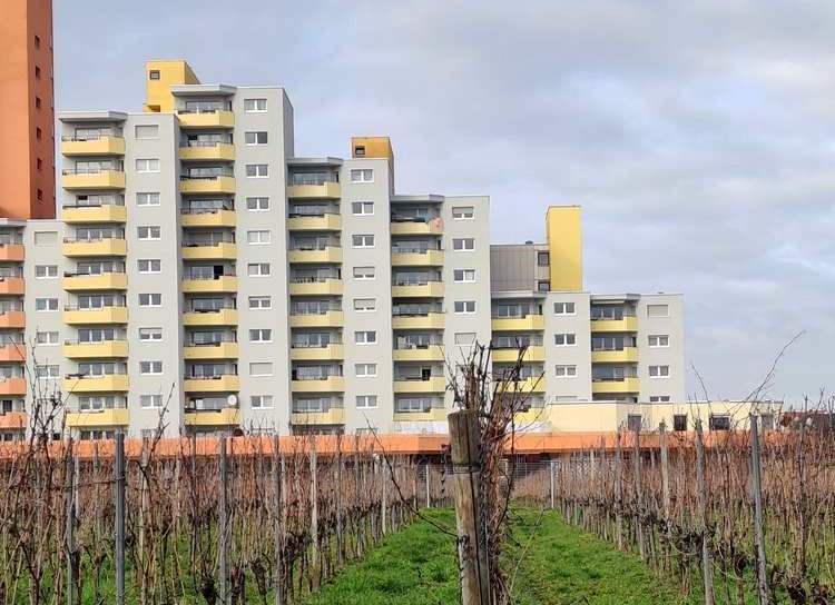 Wohnhaus der verkauften Etagenwohnung in Worms, davor die Weinberge des Wonnegau